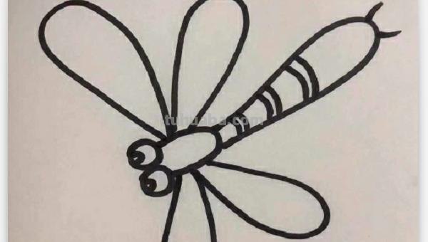 怎么画蜻蜓简笔画（怎么画蜻蜓简笔画图片）