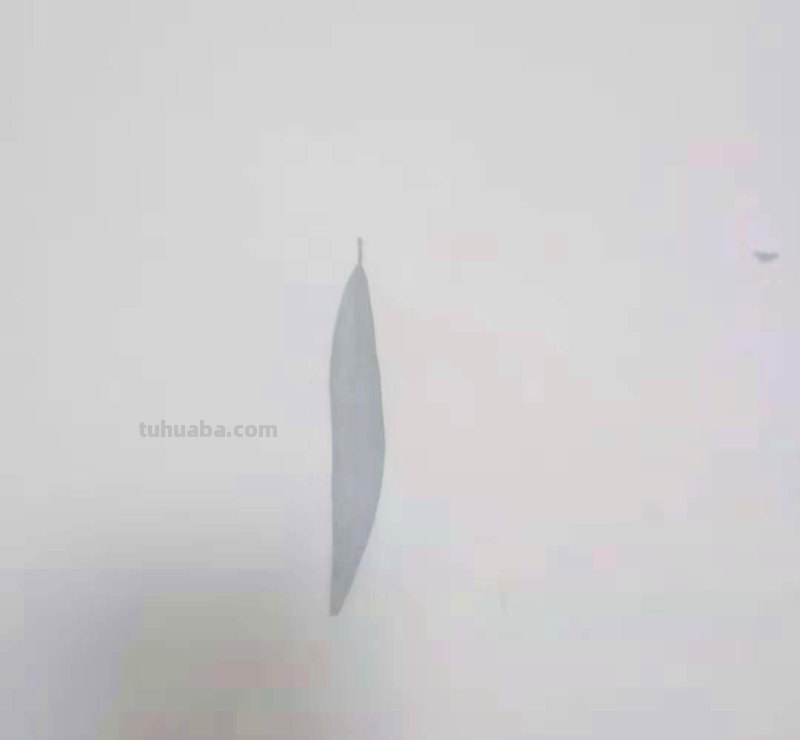 怎么画蜻蜓简笔画（怎么画蜻蜓简笔画图片）