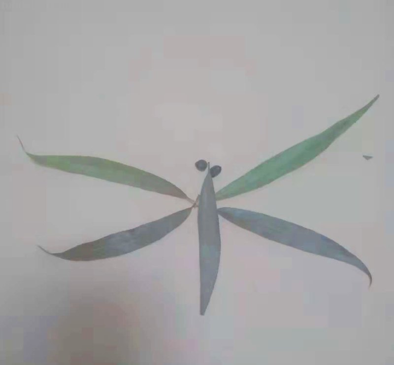 怎么画蜻蜓简笔画（怎么画蜻蜓简笔画图片）