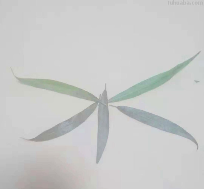 怎么画蜻蜓简笔画（怎么画蜻蜓简笔画图片）
