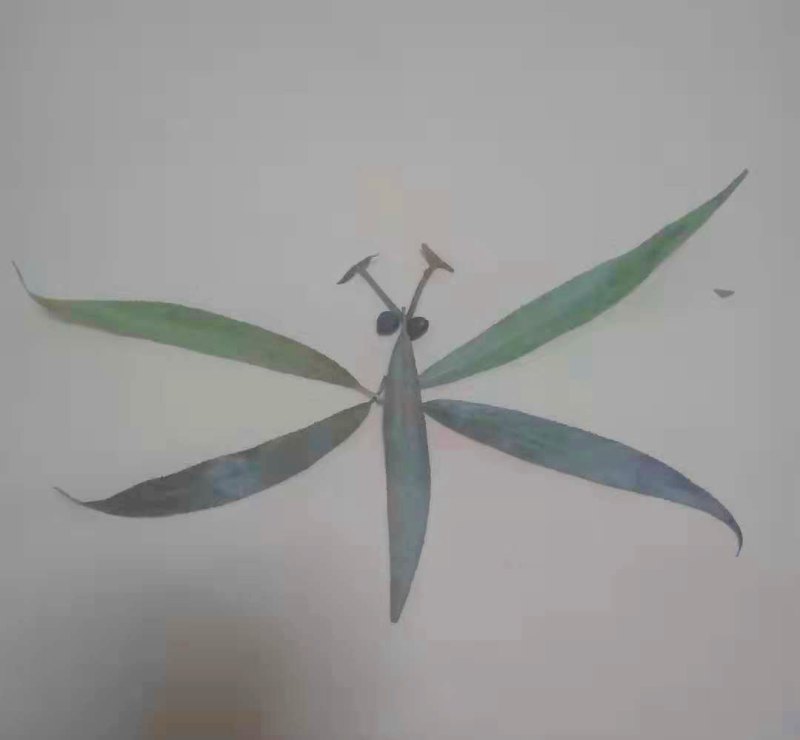 怎么画蜻蜓简笔画（怎么画蜻蜓简笔画图片）