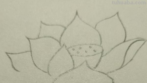 用彩铅画荷花怎么画(用彩铅画荷花怎么画好看) 用彩铅画荷花怎么画(用彩铅画荷花怎么画好看)