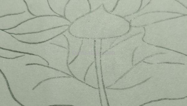 用彩铅画荷花怎么画(用彩铅画荷花怎么画好看) 用彩铅画荷花怎么画(用彩铅画荷花怎么画好看)