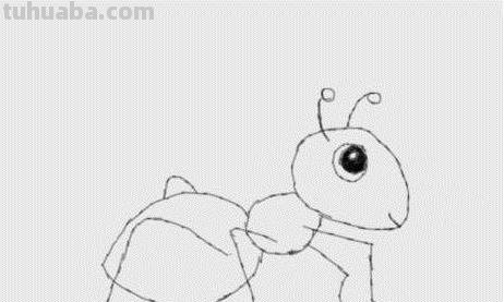 简笔画蚂蚁怎么画（简笔画蚂蚁怎么画?）