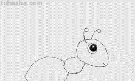 简笔画蚂蚁怎么画（简笔画蚂蚁怎么画?）