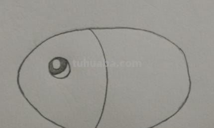 彩铅画暹罗鱼怎么画(彩铅画暹罗鱼怎么画好看) 彩铅画暹罗鱼怎么画(彩铅画暹罗鱼怎么画好看)