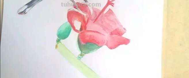 彩铅画高空小鸟怎么画（彩铅画高空小鸟怎么画好看）