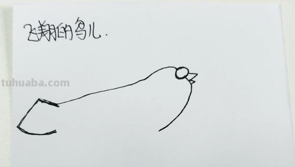 彩铅画高空小鸟怎么画（彩铅画高空小鸟怎么画好看）