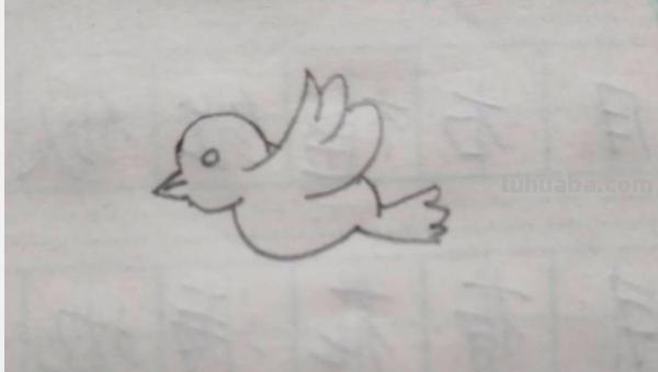 彩铅画高空小鸟怎么画（彩铅画高空小鸟怎么画好看）