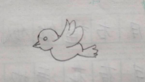 彩铅画高空小鸟怎么画（彩铅画高空小鸟怎么画好看）