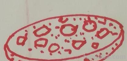 简笔画食物怎么画（简笔画食物怎么画简单又漂亮）