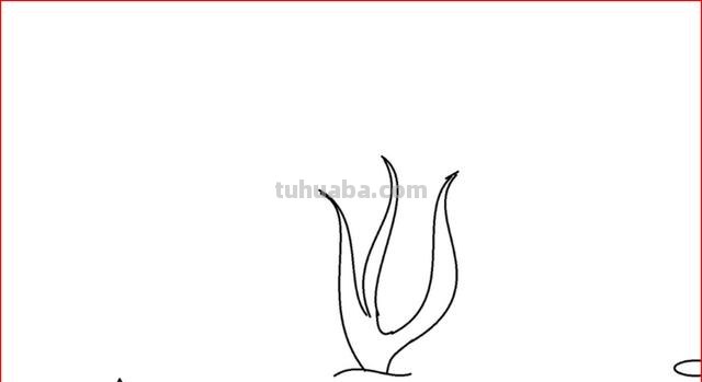 简笔画海螺怎么画（简笔画海螺怎么画好看）