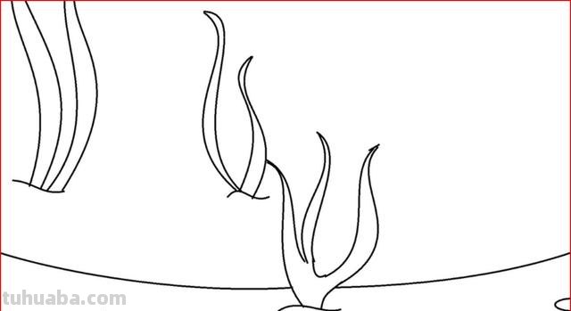 简笔画海螺怎么画（简笔画海螺怎么画好看）