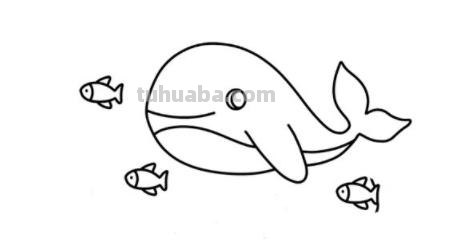 简笔画海螺怎么画（简笔画海螺怎么画好看）