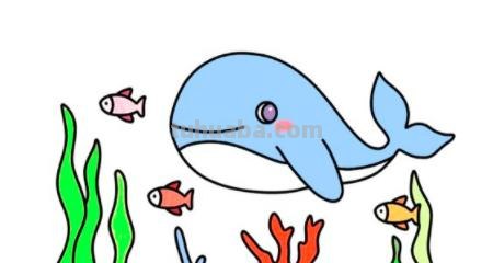简笔画海螺怎么画（简笔画海螺怎么画好看）