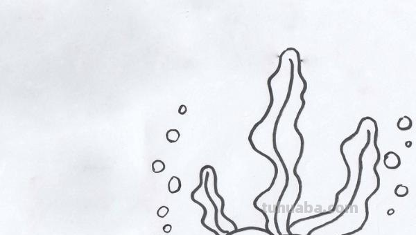 简笔画海螺怎么画（简笔画海螺怎么画好看）