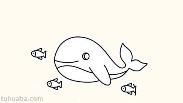 简笔画海螺怎么画（简笔画海螺怎么画好看）