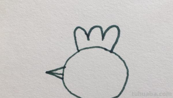怎么画小鸡简笔画（怎么画小鸡简笔画图片）