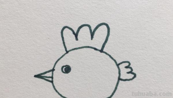怎么画小鸡简笔画（怎么画小鸡简笔画图片）