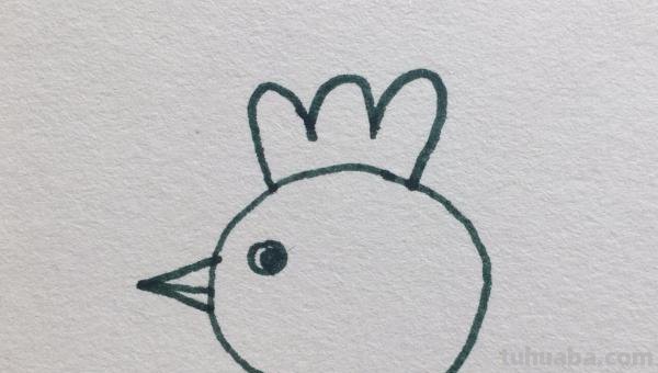 怎么画小鸡简笔画（怎么画小鸡简笔画图片）