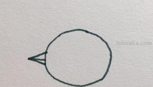 怎么画小鸡简笔画（怎么画小鸡简笔画图片）