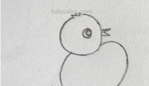 怎么画小鸡简笔画（怎么画小鸡简笔画图片）