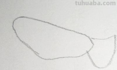 白鸽怎么画简笔画（白鸽怎么画简笔画步骤）