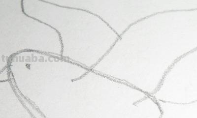 白鸽怎么画简笔画（白鸽怎么画简笔画步骤）