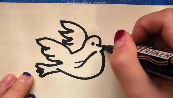 白鸽怎么画简笔画（白鸽怎么画简笔画步骤）