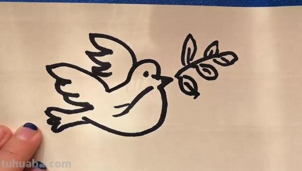 白鸽怎么画简笔画（白鸽怎么画简笔画步骤）