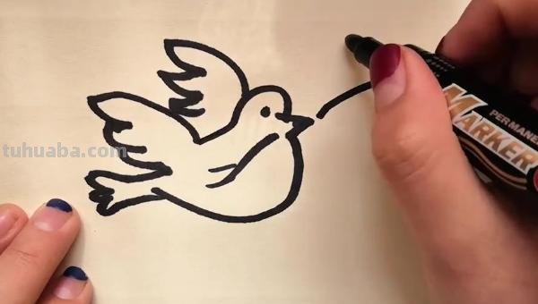 白鸽怎么画简笔画（白鸽怎么画简笔画步骤）