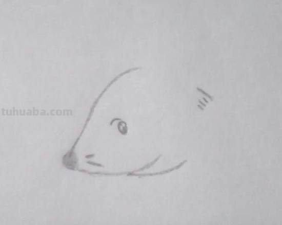 怎么画老鼠的简笔画（怎么画老鼠的简笔画图片）