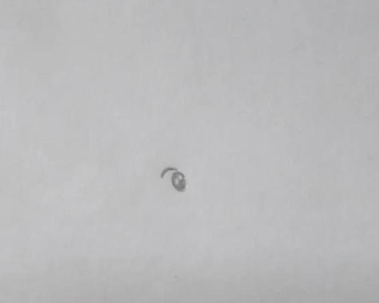 怎么画老鼠的简笔画（怎么画老鼠的简笔画图片）