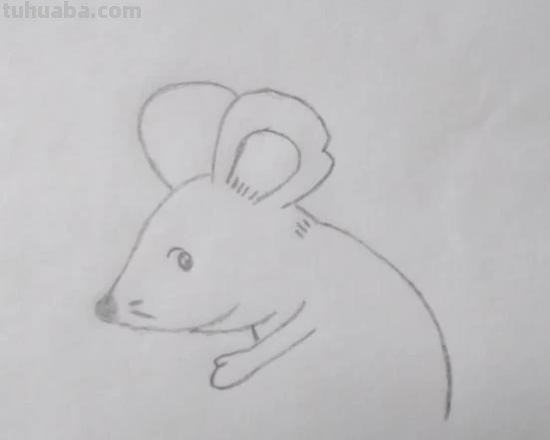 怎么画老鼠的简笔画（怎么画老鼠的简笔画图片）