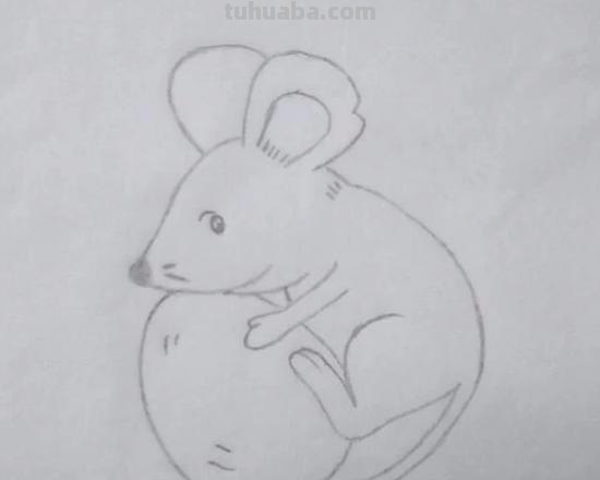 怎么画老鼠的简笔画（怎么画老鼠的简笔画图片）
