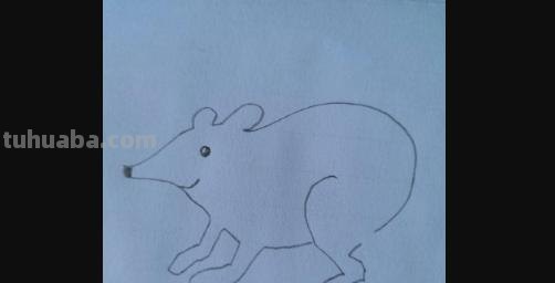 怎么画老鼠的简笔画（怎么画老鼠的简笔画图片）