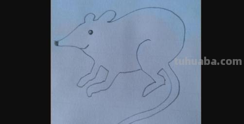 怎么画老鼠的简笔画（怎么画老鼠的简笔画图片）