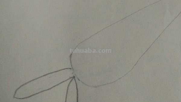 怎么画胡萝卜彩铅画() 怎么画胡萝卜彩铅画()