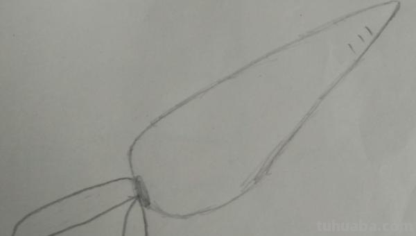 怎么画胡萝卜彩铅画() 怎么画胡萝卜彩铅画()