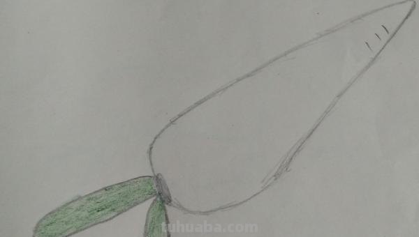 怎么画胡萝卜彩铅画() 怎么画胡萝卜彩铅画()
