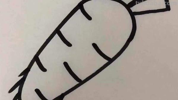 怎么画胡萝卜彩铅画() 怎么画胡萝卜彩铅画()