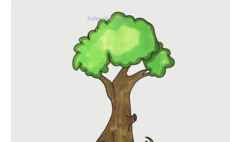 怎么画大树简笔画（怎么画大树简笔画图片）