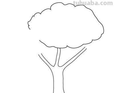 怎么画大树简笔画（怎么画大树简笔画图片）