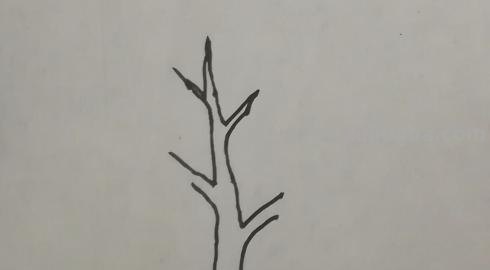 怎么画大树简笔画（怎么画大树简笔画图片）