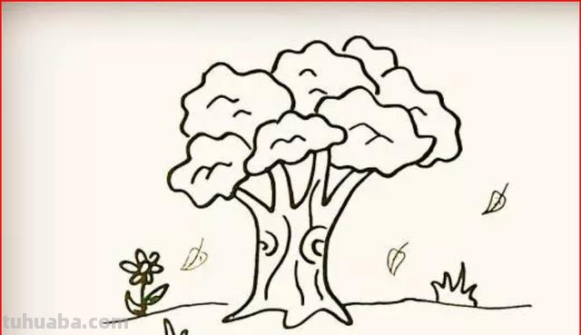 怎么画大树简笔画（怎么画大树简笔画图片）