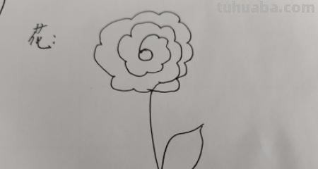 花怎么画简笔画图片（西兰花怎么画简笔画图片）