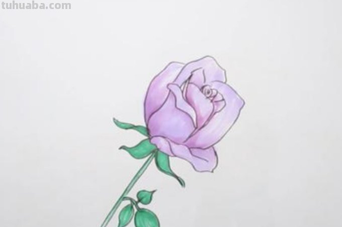 花怎么画简笔画图片（西兰花怎么画简笔画图片）