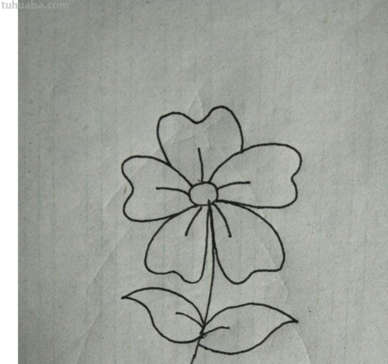 花怎么画简笔画图片（西兰花怎么画简笔画图片）