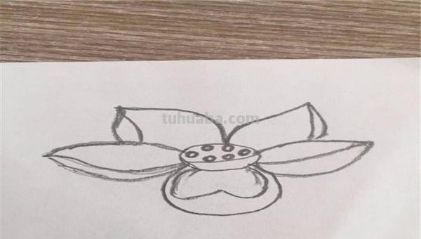 花怎么画简笔画图片（西兰花怎么画简笔画图片）