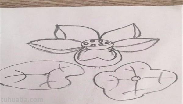 花怎么画简笔画图片（西兰花怎么画简笔画图片）